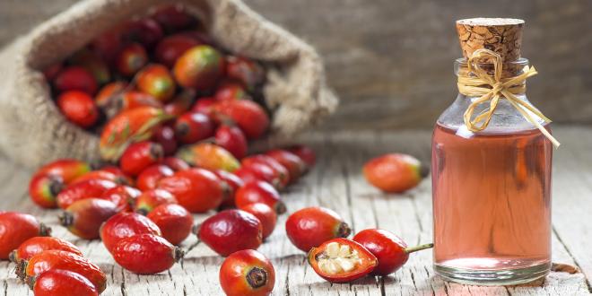 dried rosehip fruit and a bottle of rosehip oil